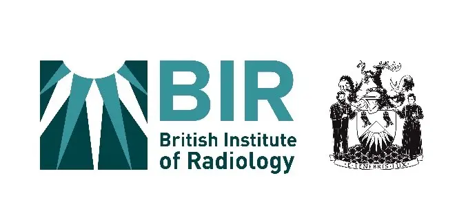 bir logo